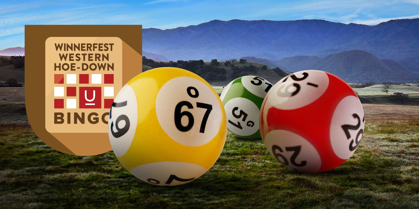 Bingo_Nov25Website_WFHD_1360x680