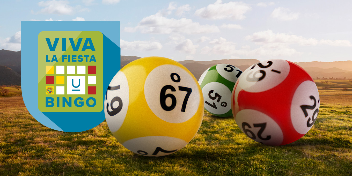 Bingo Viva La Fiesta